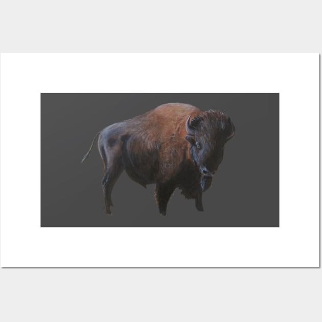 Buffalo Prairie King Wall Art by Ciarabarsotti